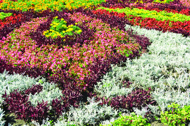 Similar image 1039780