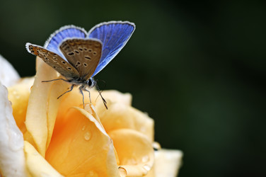 Similar image 1039781