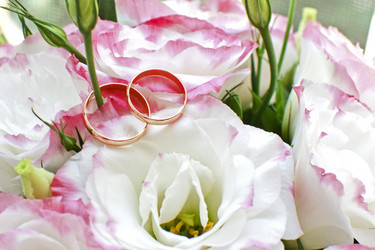 Similar image 1039859