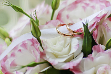 Similar image 1039862