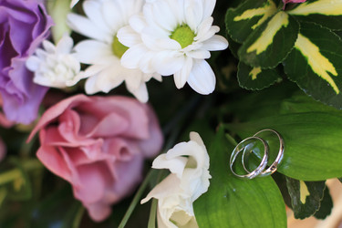 Similar image 1039863