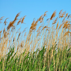 Similar image 1039898