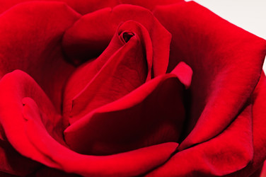 Similar image 1039996