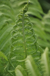 Similar image 1039999