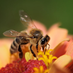 Similar image 1040000