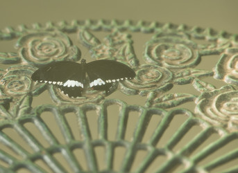 Similar image 1040028