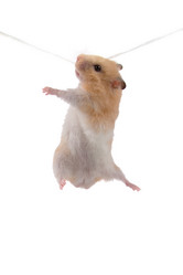 Similar image 1040029