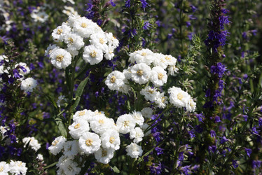 Similar image 1040031