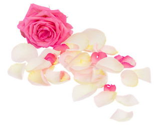 Similar image 1040036