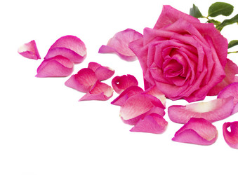 Similar image 1040037