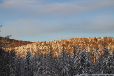 Similar image 1040091