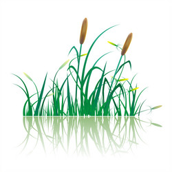 Similar image 1040101