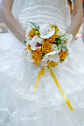 Similar image 1040145