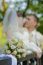 Similar image 1040152