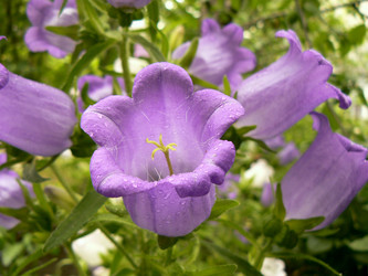 Similar image 1040188