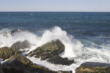 Similar image 1040216