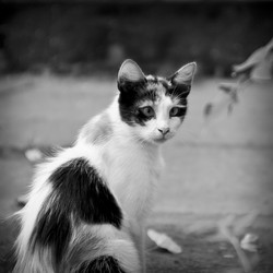 Similar image 1040233