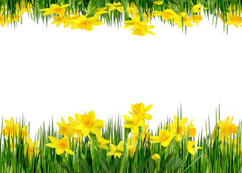 Similar image 1040417