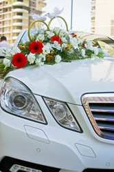 Similar image 1040702