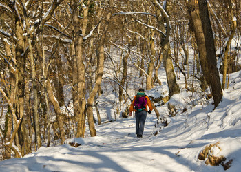 Similar image 1040769