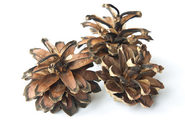 Similar image 1040950