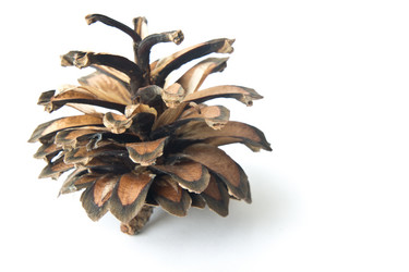 Similar image 1040956