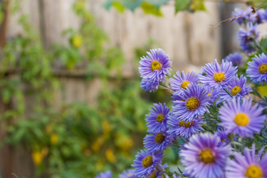 Similar image 1040976