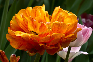 Similar image 1041098