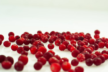 Similar image 1041102