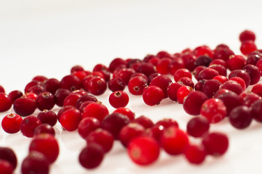 Similar image 1041103