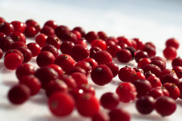 Similar image 1041104