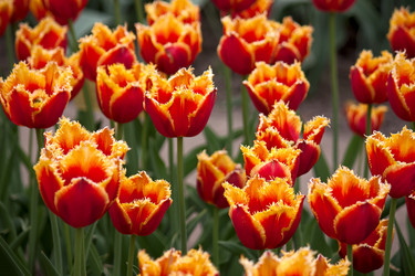 Similar image 1041123