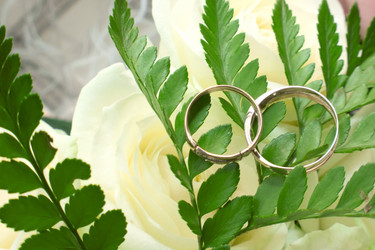 Similar image 1041197