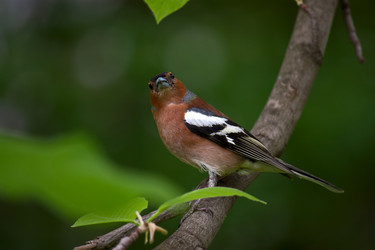 Similar image 1041211