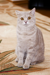 Similar image 1041272