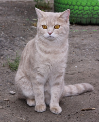 Similar image 1041275