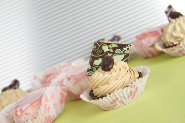 Similar image 1041287