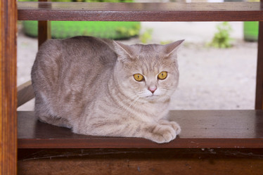 Similar image 1041289