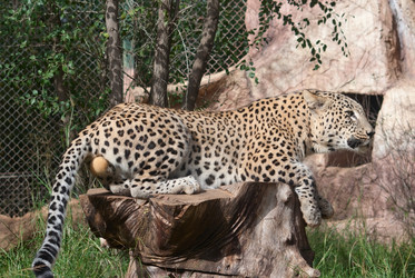 Similar image 1041302