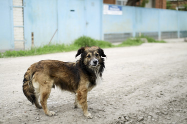 Similar image 1041333