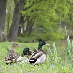 Similar image 1041338