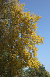 Similar image 1041343