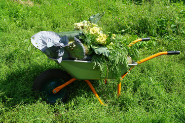 Similar image 1041346