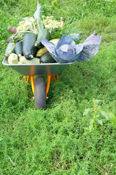 Similar image 1041352