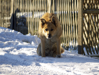 Similar image 1041355