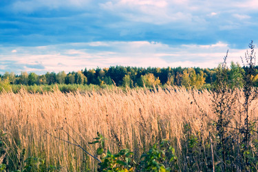 Similar image 1041436