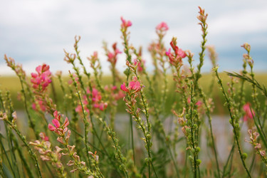 Similar image 1041451