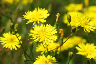 Similar image 1041452