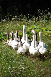 Similar image 1041526