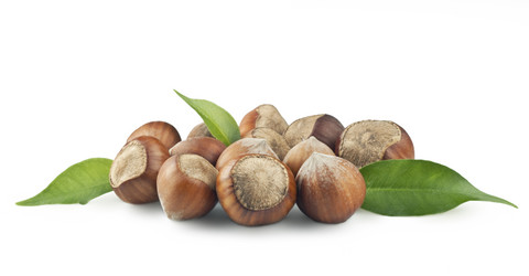 Similar image 1041538